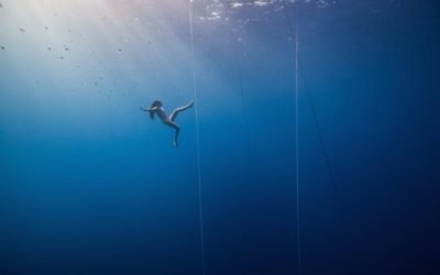 I Met Myself Descending